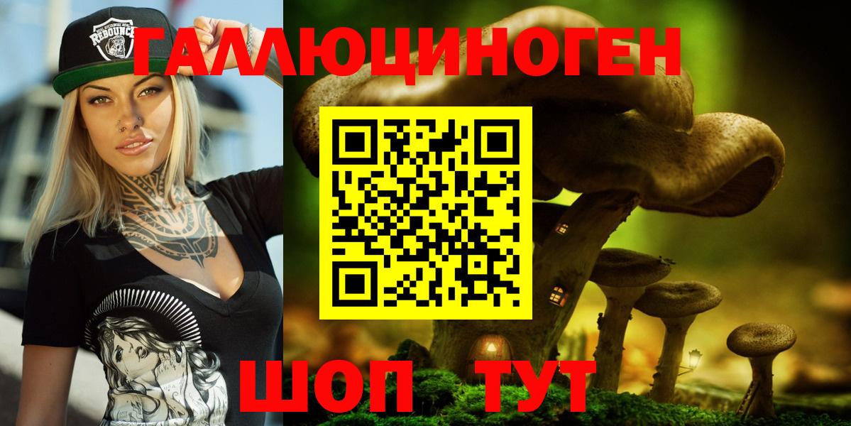 Псилоцибиновые грибы MAGIC MUSHROOMS  Псилоцибиновые грибы Psilocybe  Вход с VPN  Торжок 